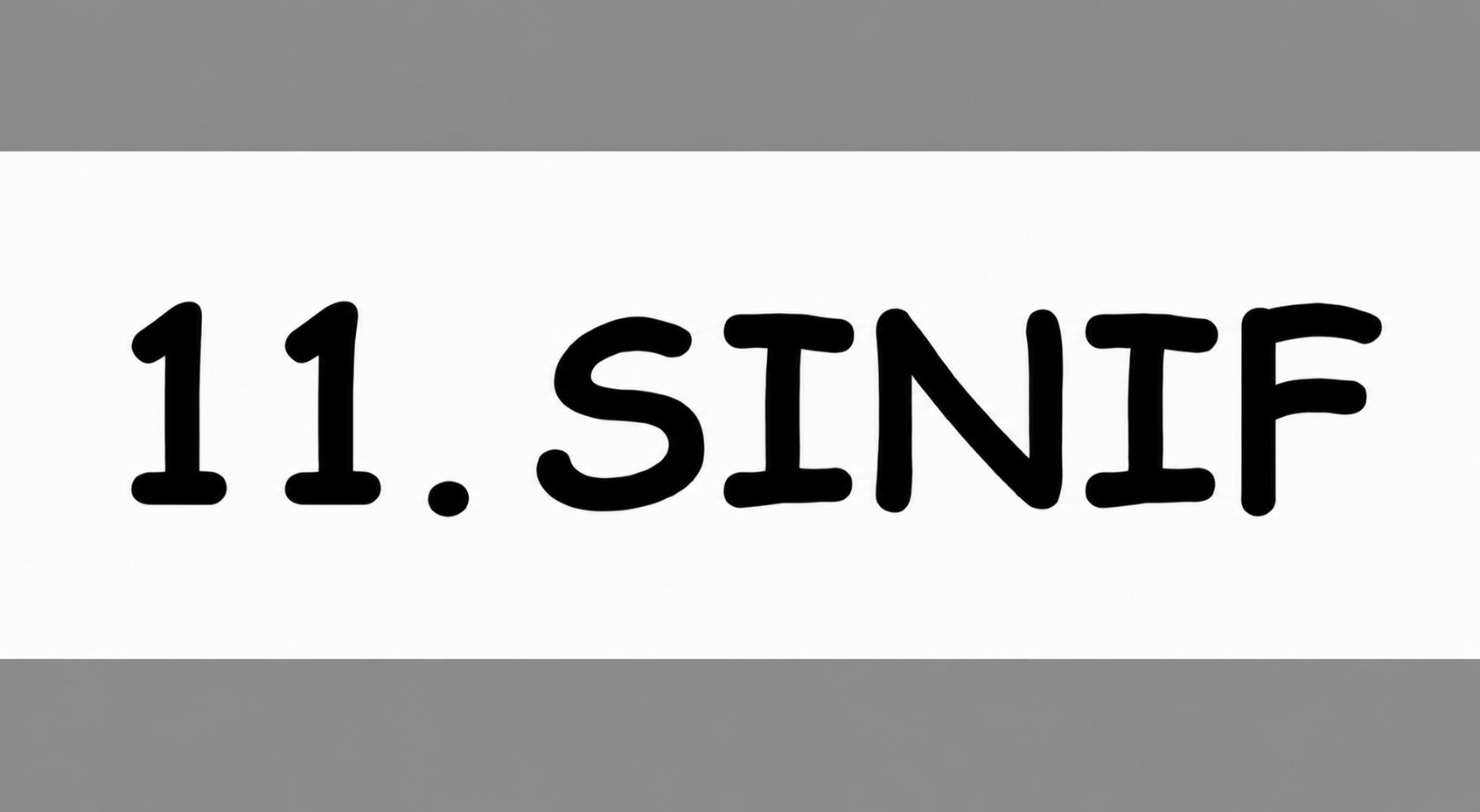 11. SINIF